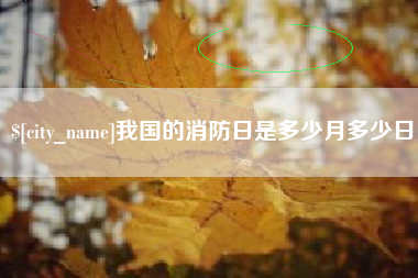 宣城我国的消防日是多少月多少日