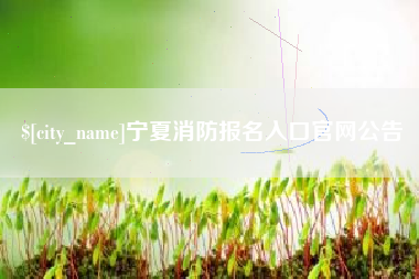 宣城宁夏消防报名入口官网公告
