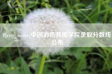 宣城中国消防救援学院录取分数线公布