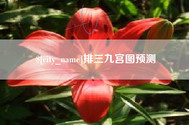 宣城排三九宫图预测