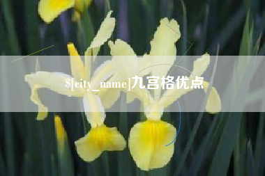 宣城九宫格优点