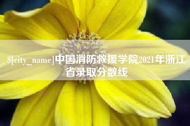 宣城中国消防救援学院2021年浙江省录取分数线