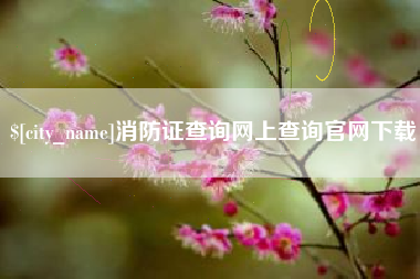 宣城消防证查询网上查询官网下载