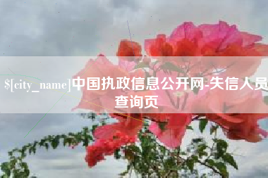 宣城中国执政信息公开网-失信人员查询页