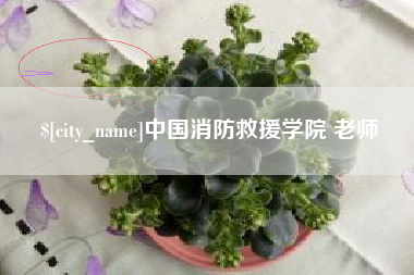 宣城中国消防救援学院 老师