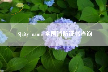 宣城全国消防证书查询