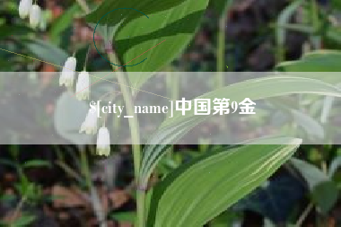 宣城中国第9金