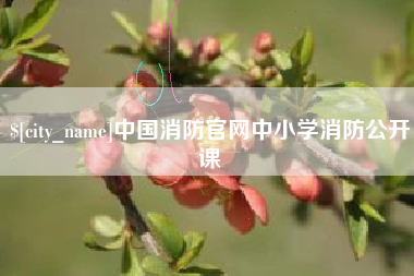 宣城中国消防官网中小学消防公开课
