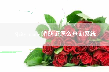 宣城消防证怎么查询系统