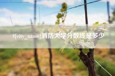 宣城消防大学分数线是多少
