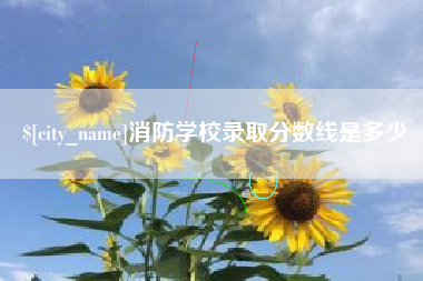 宣城消防学校录取分数线是多少