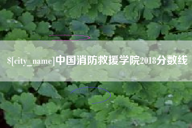 宣城中国消防救援学院2018分数线