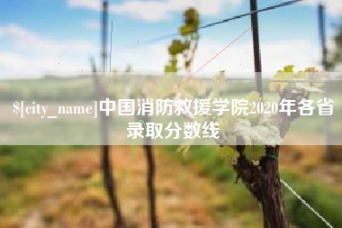 宣城中国消防救援学院2020年各省录取分数线