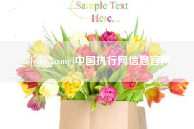 宣城中国执行网信息官网