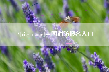宣城中国消防报名入口