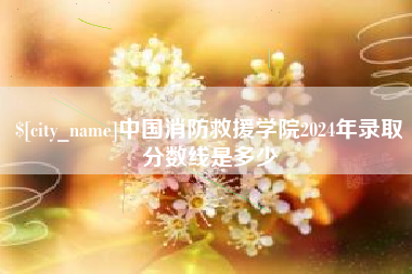 宣城中国消防救援学院2024年录取分数线是多少