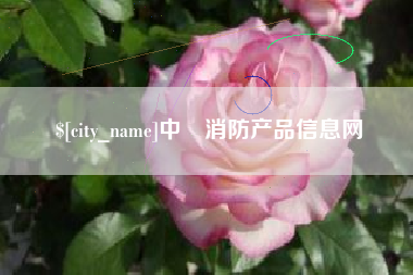 宣城中囯消防产品信息网