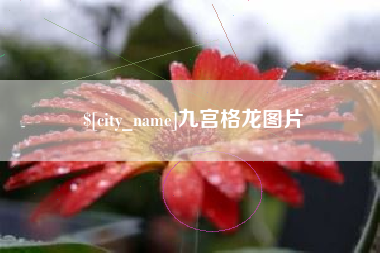宣城九宫格龙图片