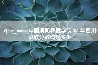 宣城中国消防救援学院2021年四川录取分数线是多少