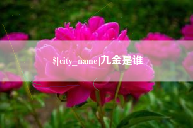 宣城九金是谁