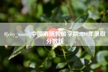 宣城中国消防救援学院2019年录取分数线