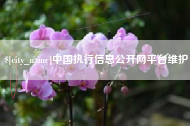宣城中国执行信息公开网平台维护