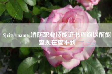 宣城消防职业技能证书查询以前能查现在查不到