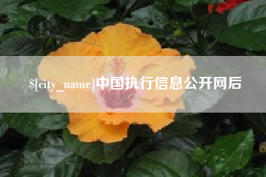 宣城中国执行信息公开网后