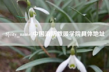 宣城中国消防救援学院具体地址