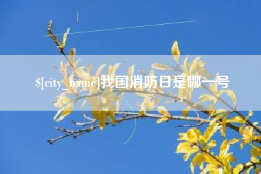 宣城我国消防日是哪一号