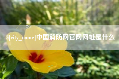 宣城中国消防网官网网址是什么