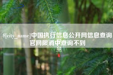 宣城中国执行信息公开网信息查询官网限消中查询不到