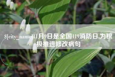 宣城11月9日是全国119消防日,为积极推进修改病句