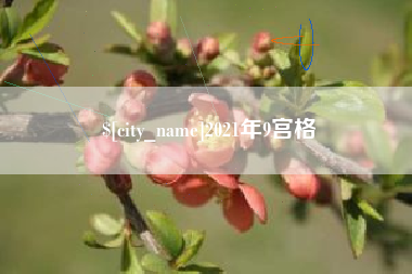 宣城2021年9宫格