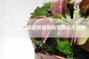宣城中国救援消防学院招生简章