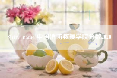 宣城中国消防救援学院分数2020