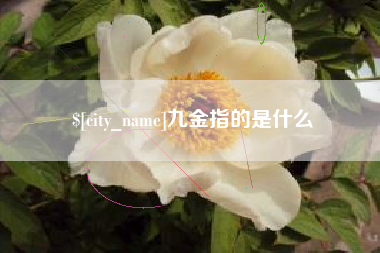 宣城九金指的是什么