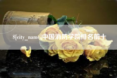 宣城中国消防学院排名前十