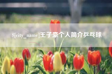 宣城王子豪个人简介乒乓球