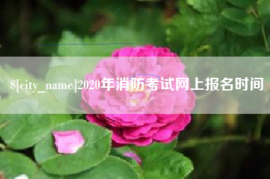 宣城2020年消防考试网上报名时间