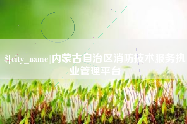 宣城内蒙古自治区消防技术服务执业管理平台