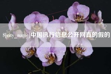 宣城中国执行信息公开网真的假的