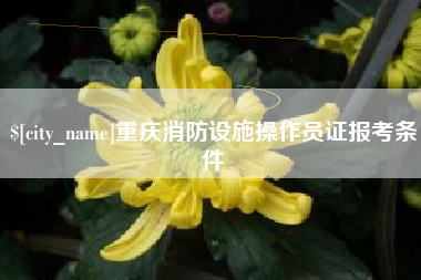 宣城重庆消防设施操作员证报考条件