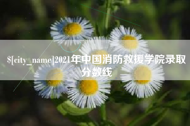 宣城2021年中国消防救援学院录取分数线