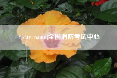宣城全国消防考试中心