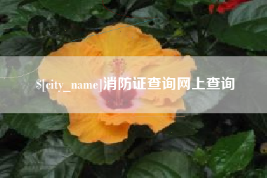 宣城消防证查询网上查询