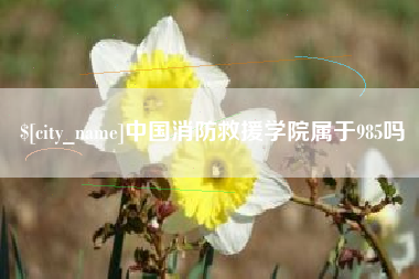 宣城中国消防救援学院属于985吗