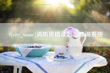 宣城消防资格证怎么查询系统
