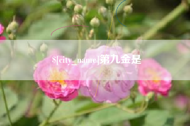 宣城第九金是