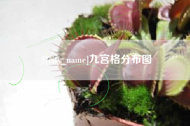 宣城九宫格分布图